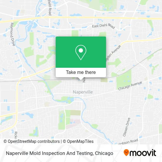 Naperville Mold Inspection And Testing map