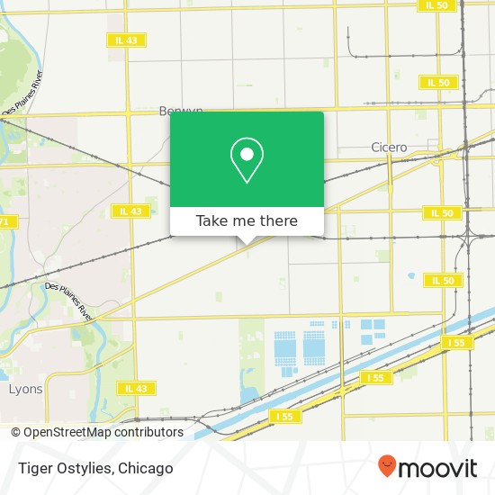 Tiger Ostylies, 6300 Ogden Ave Berwyn, IL 60402 map