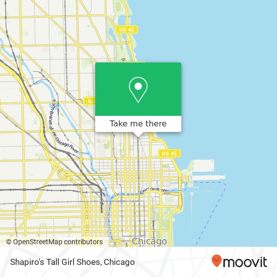 Mapa de Shapiro's Tall Girl Shoes, 1030 N Rush St Chicago, IL 60611