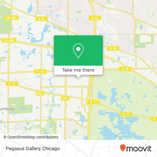 Mapa de Pegasus Gallery, Schaumburg, IL 60173