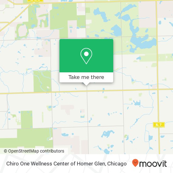 Mapa de Chiro One Wellness Center of Homer Glen