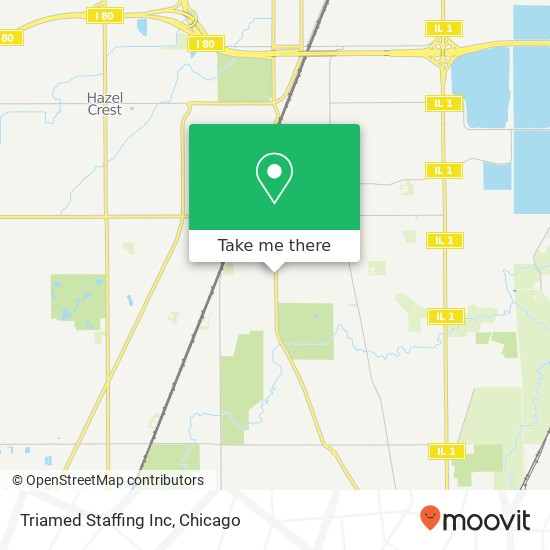 Triamed Staffing Inc map