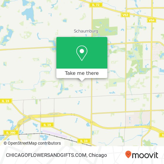 CHICAGOFLOWERSANDGIFTS.COM map