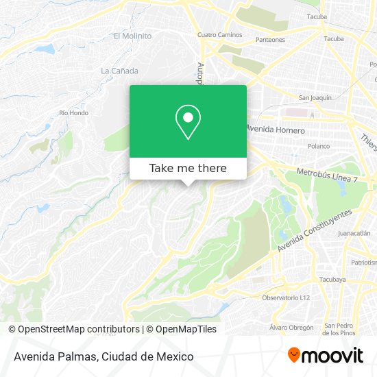 Avenida Palmas map