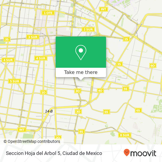 Seccion Hoja del Arbol  5 map