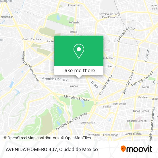 AVENIDA HOMERO 407 map