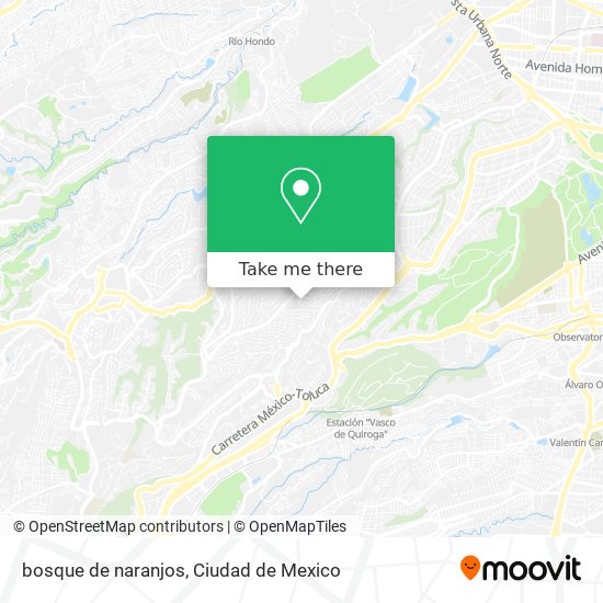 bosque de naranjos map