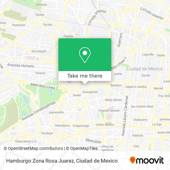 Hamburgo   Zona Rosa   Juarez map