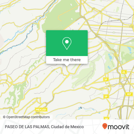 PASEO DE LAS PALMAS map
