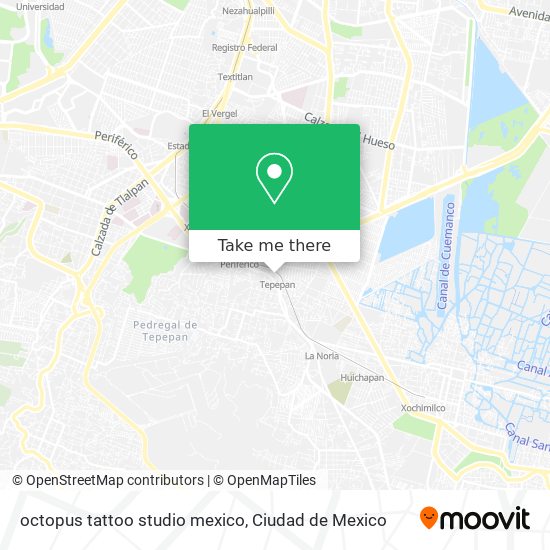octopus tattoo studio mexico map