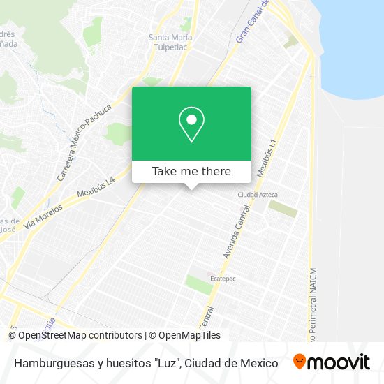 Mapa de Hamburguesas y huesitos "Luz"