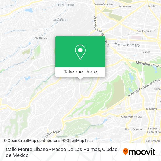 Calle Monte Libano - Paseo De Las Palmas map