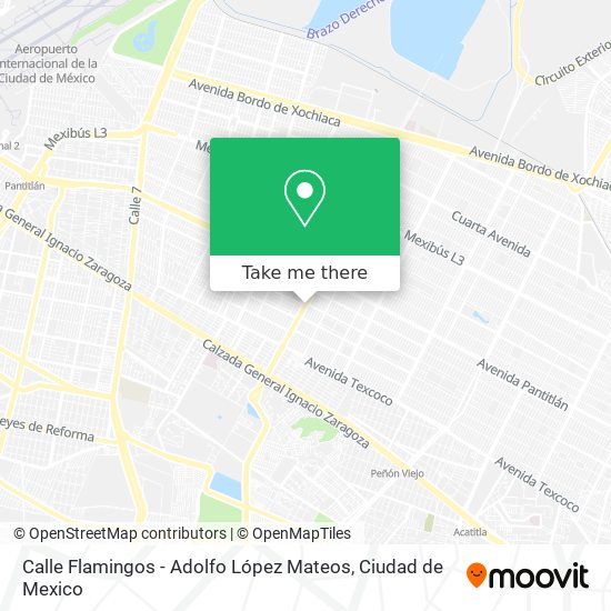 Calle Flamingos - Adolfo López Mateos map