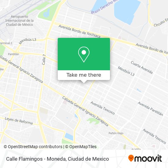 Calle Flamingos - Moneda map