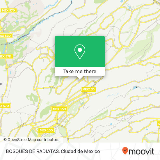 BOSQUES DE RADIATAS map