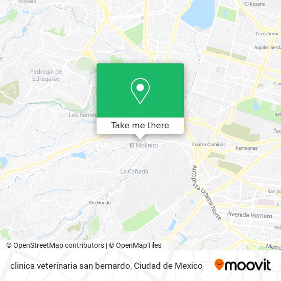 clinica veterinaria san bernardo map