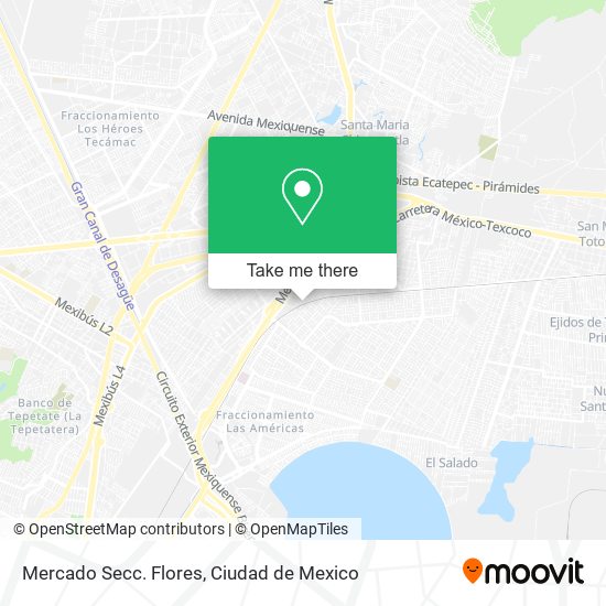 Mapa de Mercado Secc. Flores