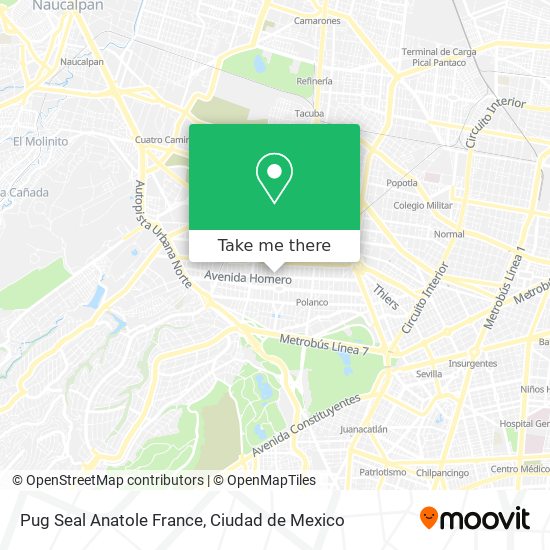 Pug Seal Anatole France map