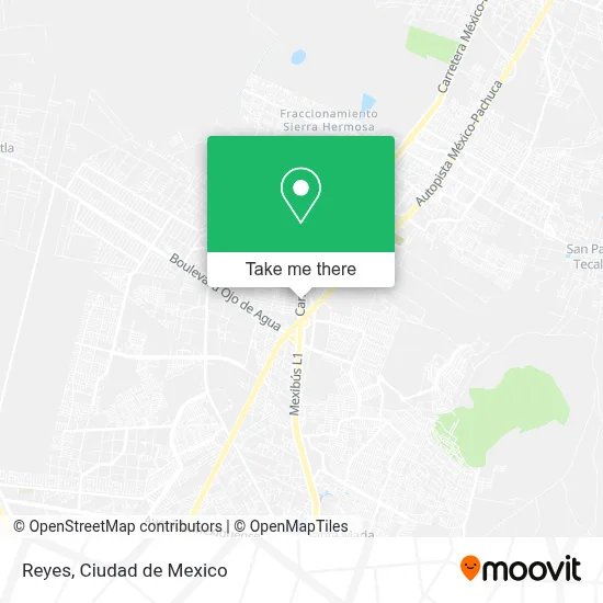 Reyes map