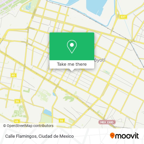 Mapa de Calle Flamingos