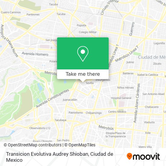 Transicion Evolutiva Audrey Shioban map