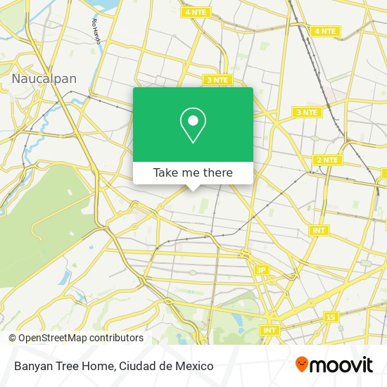 Banyan Tree Home map