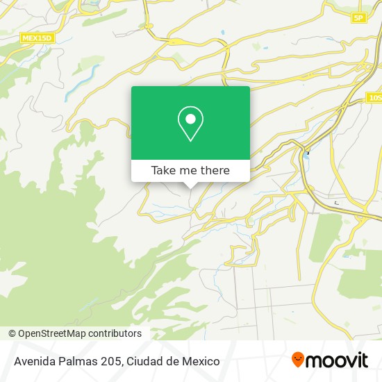 Avenida Palmas 205 map