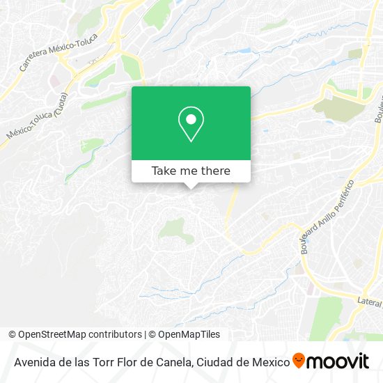 Avenida de las Torr Flor de Canela map