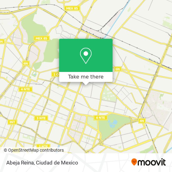 Abeja Reina map