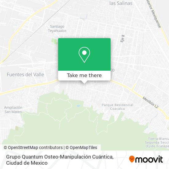 Mapa de Grupo Quantum Osteo-Manipulación Cuántica