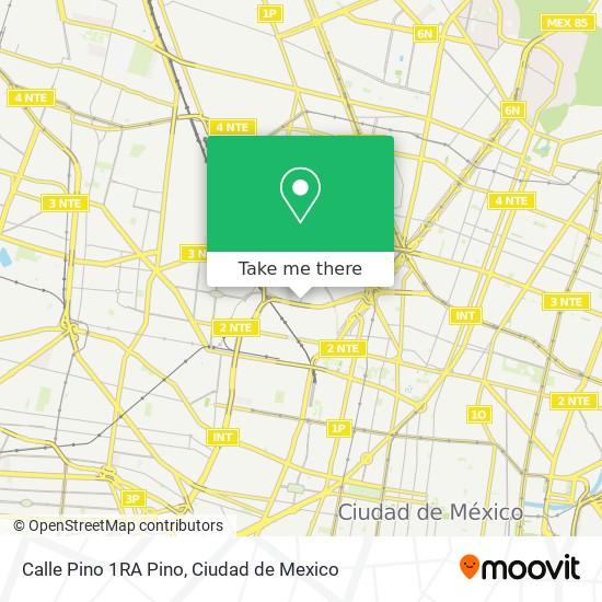 Mapa de Calle Pino 1RA Pino