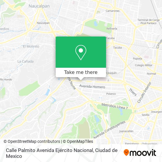 Calle Palmito Avenida Ejército Nacional map
