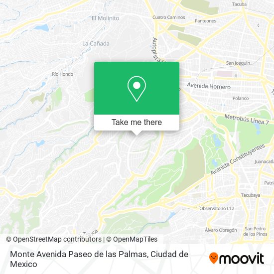 Monte Avenida Paseo de las Palmas map