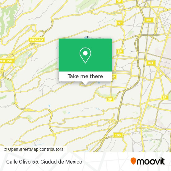 Mapa de Calle Olivo 55