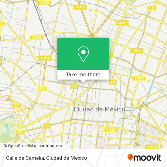 Calle de Camelia map