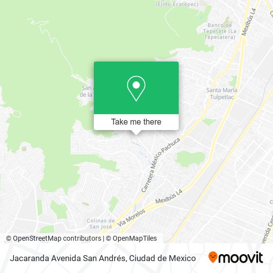 Mapa de Jacaranda Avenida San Andrés