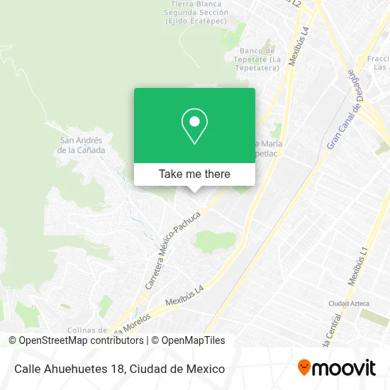 Calle Ahuehuetes 18 map