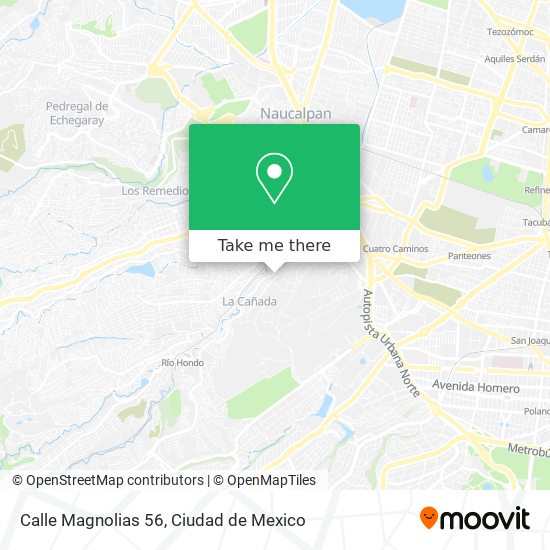 Mapa de Calle Magnolias 56