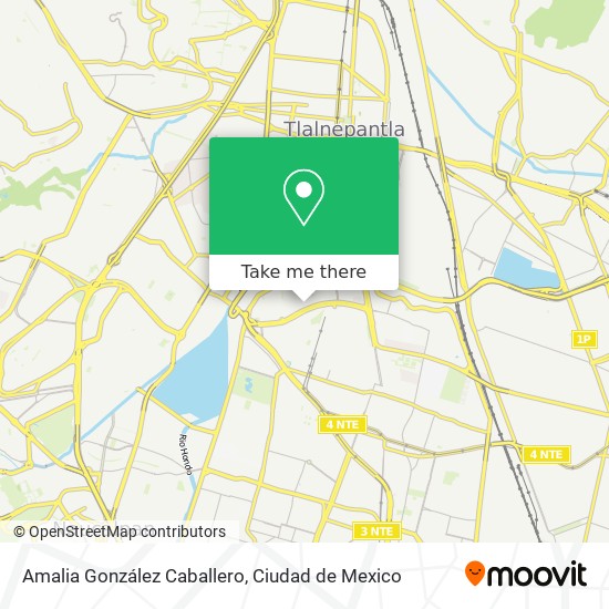 Amalia González Caballero map