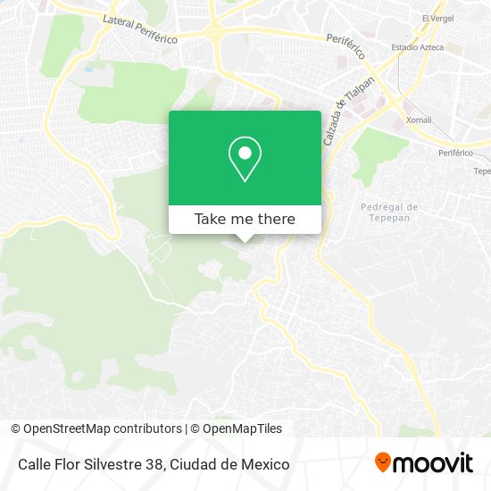 Mapa de Calle Flor Silvestre 38