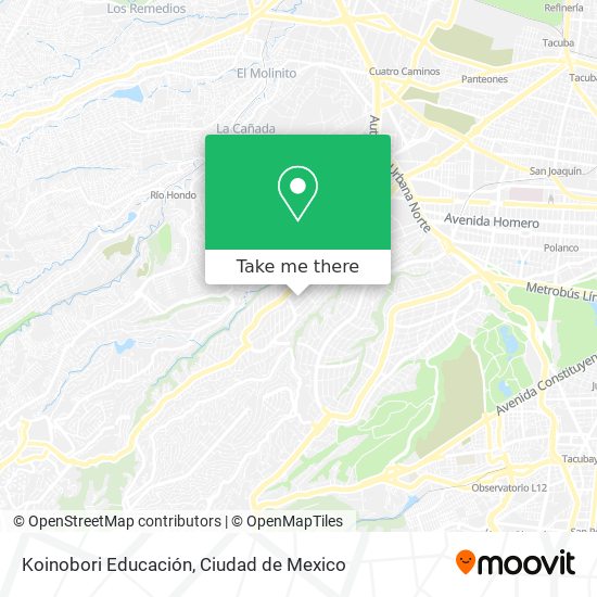 Mapa de Koinobori Educación