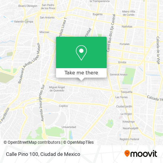 Calle Pino 100 map