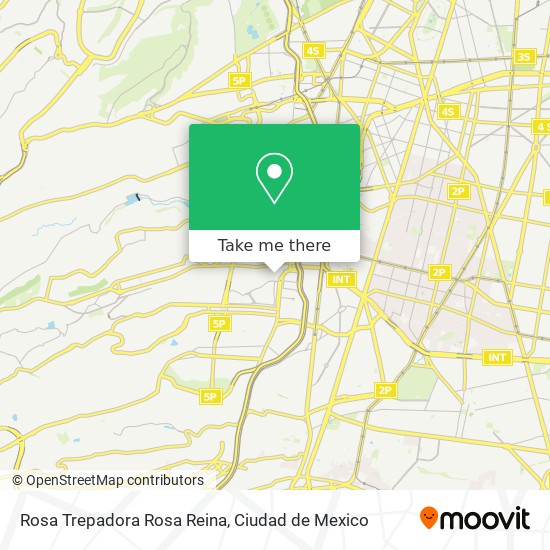 Rosa Trepadora Rosa Reina map