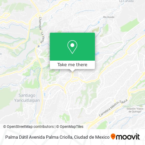 Mapa de Palma Dátil Avenida Palma Criolla