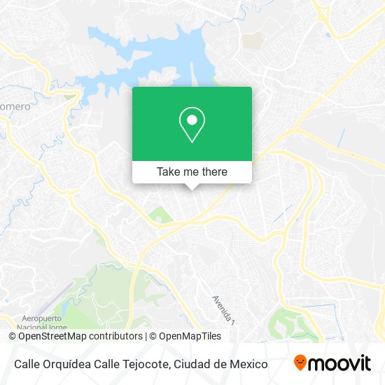 Calle Orquídea Calle Tejocote map