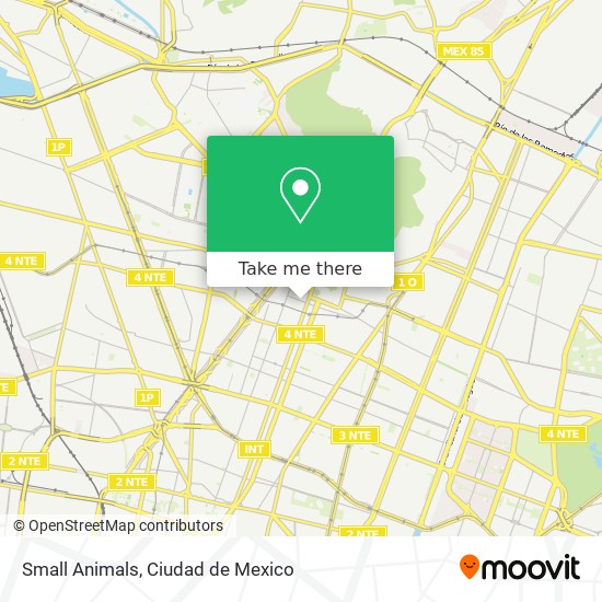 Mapa de Small Animals