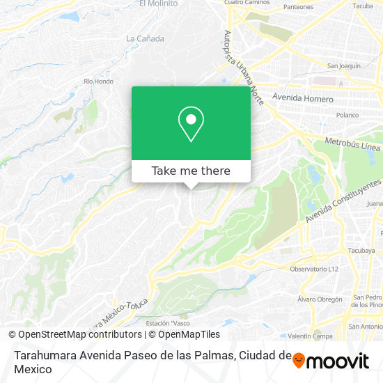 Mapa de Tarahumara Avenida Paseo de las Palmas