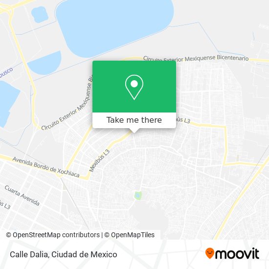 Mapa de Calle Dalia