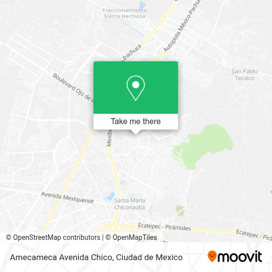 Amecameca Avenida Chico map