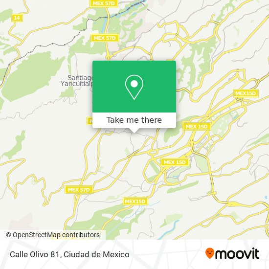 Calle Olivo 81 map